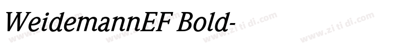 WeidemannEF Bold字体转换